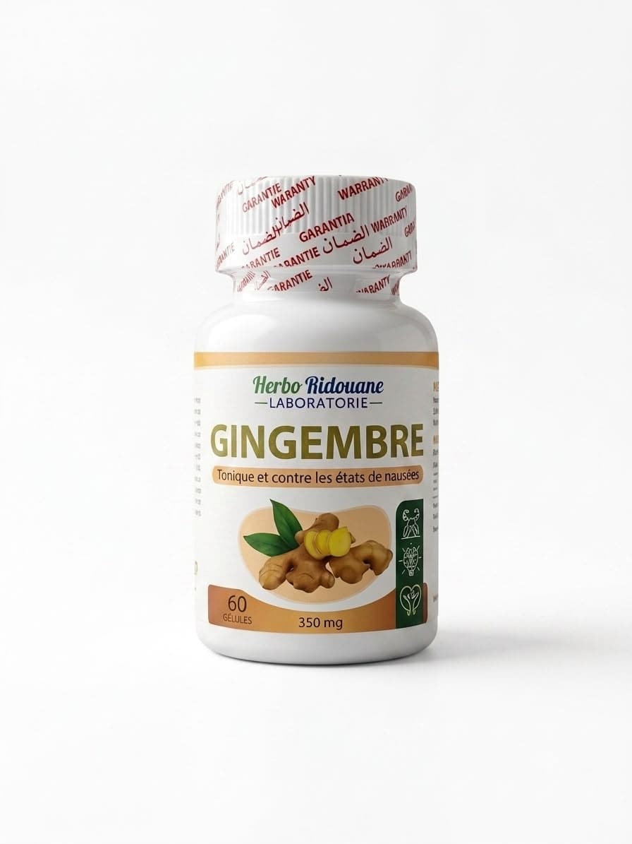 Gingembre